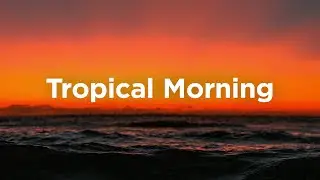 Tropical Morning ☕ Chillout Vibes