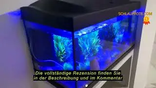 Produktbewertung Tetra Starter Line 54 L Aquarium Komplett-Set - inkl. Tag- & Nachtlicht LED-Beleuch