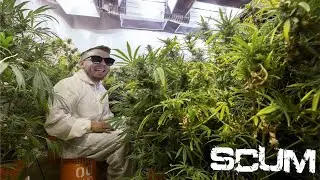 SCUM  Не Забывай Кто Ты #scum #scumlive
