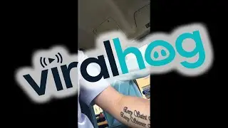Bye Bye Driver || ViralHog