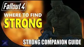 Fallout 4 - Companion Guide | Strong | HD 1080p