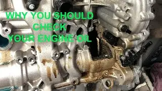 Benefits Of Checking Your Engine Oil | Easy Steps To Check Oil Level | Boss Auto