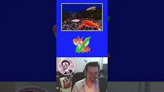 GUESS THE PKMN by REAL-LIFE VERSION #1 | Pok&eacute;mon Trivia #pokemon #pokemontrivia #pokemoncommunity