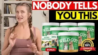 WILDGUT FOR DOGS REVIEW 🐶 Gut Health Supplement for Dogs &ndash; WILDGUT Customer Review (REAL EXPERIENCE)
