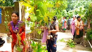 Tree plant distribution || চারা বিতরন || Save Environment Save the world