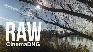 First raw CinemaDNG footage: Blackmagic Pocket Cinema Camera