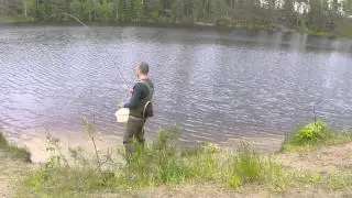 fredriks sj&ouml; - torrfluga