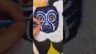 Revealing Magic the Lemur #shorts #spiritanimal