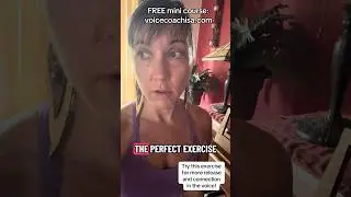 Want more connection and release the voice?