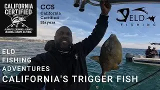 ELD FISHING - California Trigger Fishing 