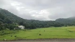 #nature #morning #green #tree #house #india #maharashtra