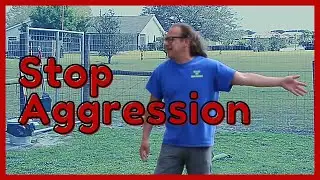 stop my dog from being aggressive | solid k9 training RI
