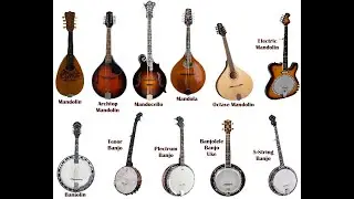 Hey, Johnnie Cope (Adam Skirving) Banjodoline Virtual Mandolin, Accordion, Flute VST VST3 Audio Unit