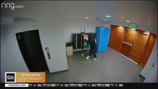 Caught on camera: Thieves steal mail at Studio City apartment complex