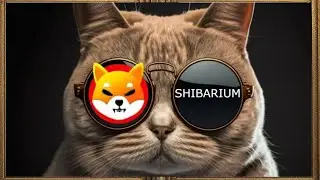 Shytoshi Anuncia Projetos Que Funcionará no Shibarium. 🔴Inovação