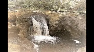 ADV Capital Forest - Oly ~2~ Porter Creek