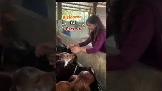 Indore&rsquo;s Oldest Shiva Temple with Bhasma Aarti | Bhuteshwar Mahadev Mandir | Hidden Gems of MP