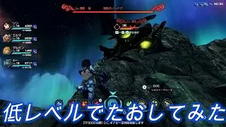 投影のノ=ドアLv30を低レベルでたおしてみた。パーティの平均Lv18【ゼノブレイドクロスDE】