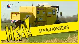 HEA! De maaidorsers van Tijnje