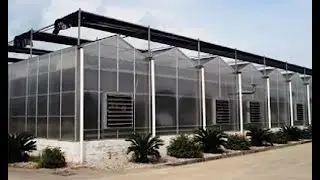 Commercial Hydroponics Greenhouse In Pakistan by Pakistan Hydroponics