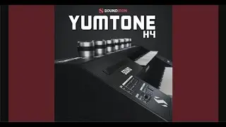 Yumtone H4 by Soundiron - Vintage Japanese FM Synthesizer