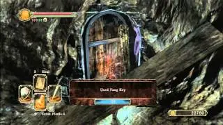 Dark Souls II - Finding the Fang Key and freeing Ornifex