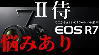 デジタルズーム中に　Canon Logが撮れない