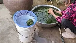 China Travel | Discover Real Life Everyday in China Countryside #chinatravel #chinacountryside
