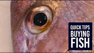 Quick tips for buying fresh fish
