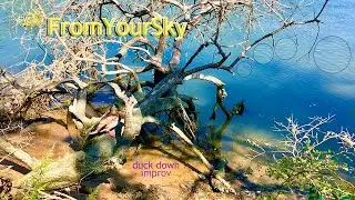 FromYourSky  