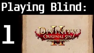 Playing Blind Divinity: Original Sin 2 &ndash; Definitive Edition