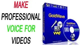 Gold Wave Audio Recording Software Make your voice better