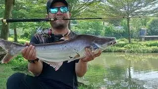 Go-Strike GTR & Galahad VS Monster Fish in RCG Monsterfish