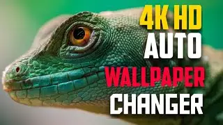 Auto wallpaper changer 2021 | Auto Change Wallpaper On Android Mobile
