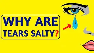 Why Are Tears Salty? | Tears | Salty Tears | WHY?