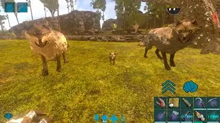 Ark Survival Evolved Mobile : Taming Dire Wolf And Breeding Baby Dire Wolf