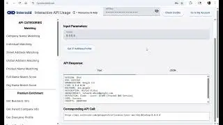 Interzoid Get IP Profile API Demo &mdash; AI-Powered IP Intelligence, Geolocation & Reputation Data