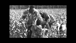 COTTON CLASSROOM