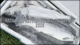 Kasilof Dipnet Fishing Info And Report 