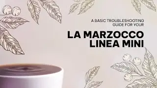Basic Troubleshooting Guide: La Marzocco Linea Mini