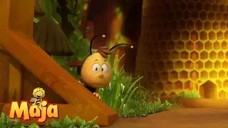 Majas magisches Abenteuer! - Die Biene Maja🐝🍯🐝 - FULL COMPILATION