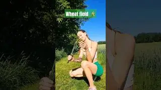 Today I found this gorgeous #wheatfield 🌾💛😍 #shorts #fitnessalenka #nature #naturelover #wheat