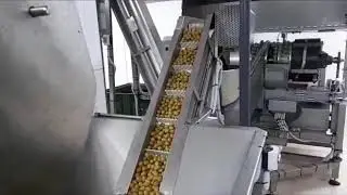 Stuffing olives line Foodin-Enco
