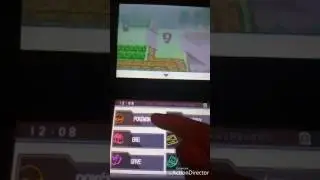How to reach the Abundant shrine + how to catch Vulpix Pokemon Black White 2