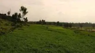 Kebede Michael's Poem