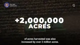 USDA&rsquo;s Record Corn Estimate May Signal Challenges Ahead&nbsp;| Presented by CME Group