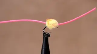Печально известный розовый червь