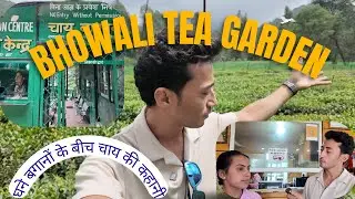 Inside Ghorakhal Tea Garden |चाय बगान की खूबसूरत झलक -Uttarakhand Tea is Born | जहाँ चाय महकती है |