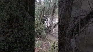 Река Бързица,Златарица обл. Велико Търново