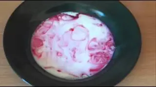 How to do the Milk, Food Colouring & Detergent Trick - Simple Science Experiment - Everyday Items